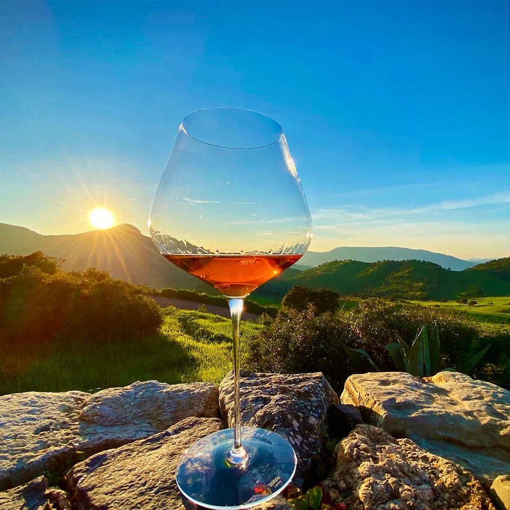 Copas Passion Burgundy Cristal Oberglas Stölzle 640ml x6 Unidades